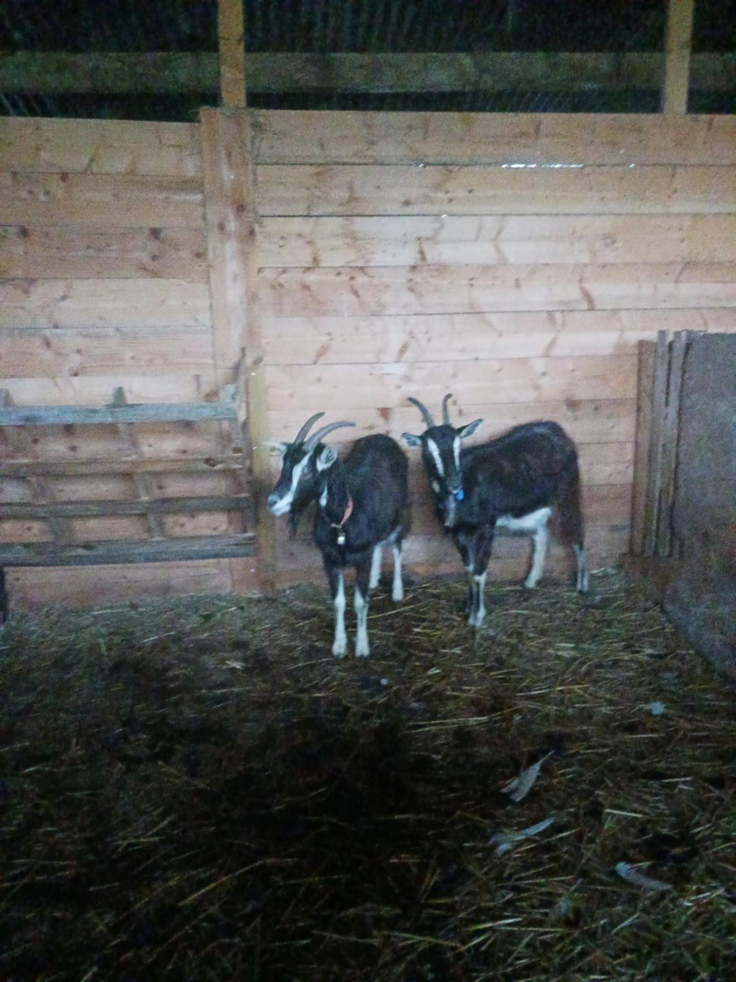 La Ferme Stanczak Apartamento Tréguier Exterior foto